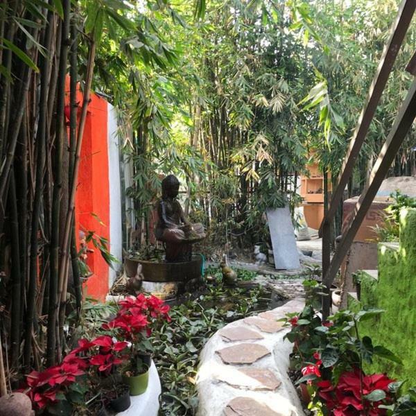 Guest house Mi Aldea Holistica