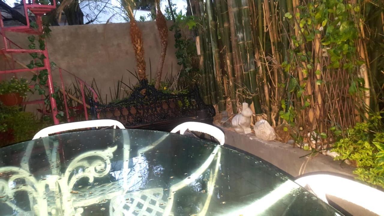 Mi Aldea Holistica * Mexico City