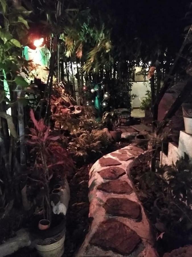Guest house Mi Aldea Holistica